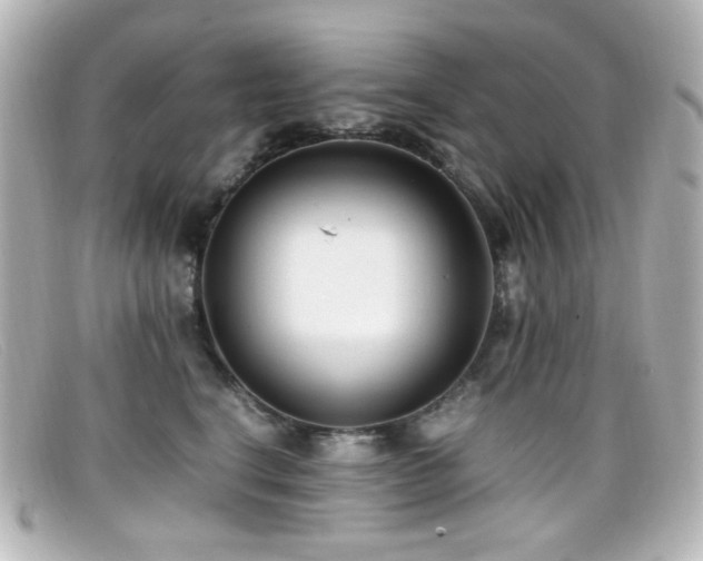 X0000099400664200805081536