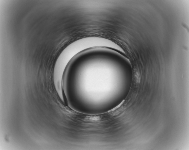 X0000099400665200805081536