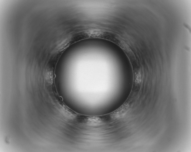 X0000099400666200805081536