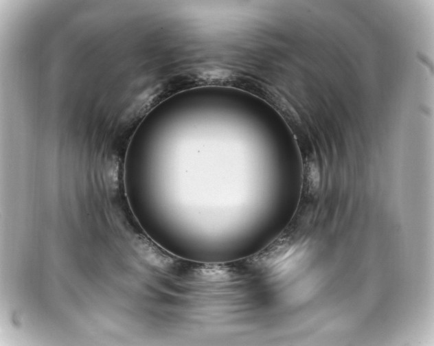 X0000099400668200805081536