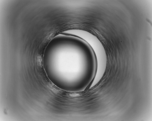 X0000099400669200805081536
