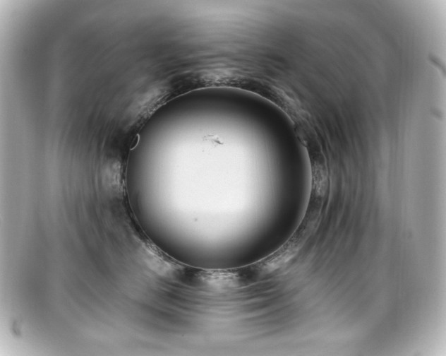 X0000099400670200805081536