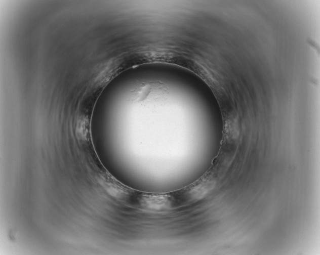 X0000099400671200805081536