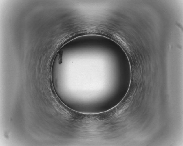 X0000099400673200805081535