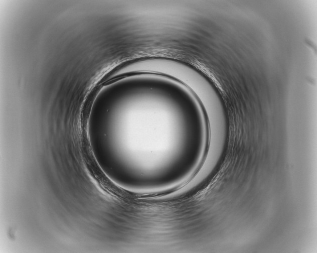 X0000099400674200805081535