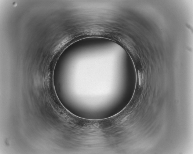 X0000099400675200805081535