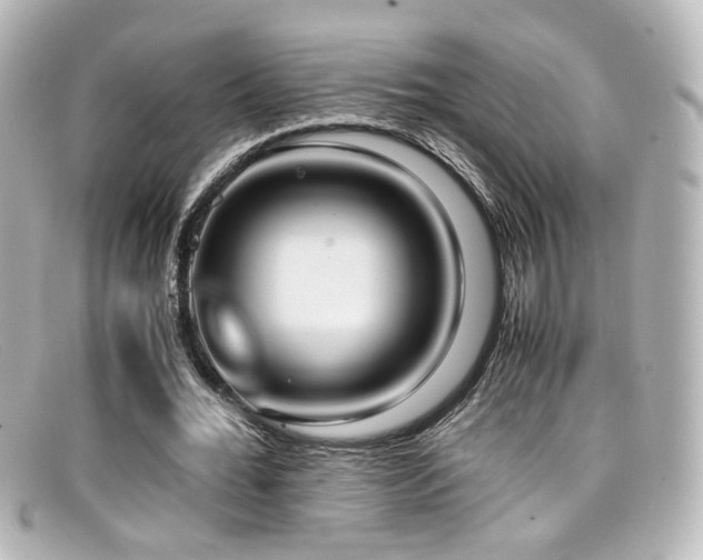 X0000099400676200805081535
