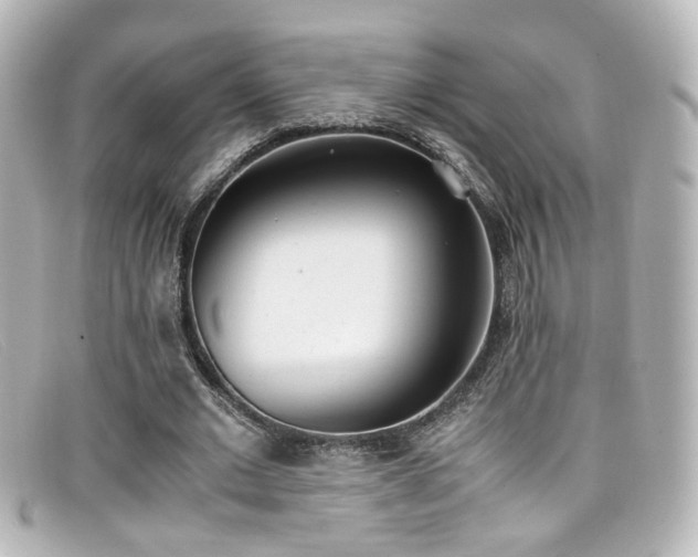 X0000099400677200805081535