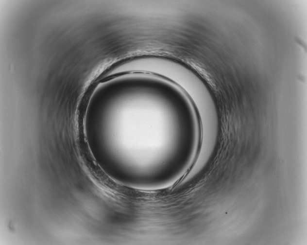 X0000099400678200805081535