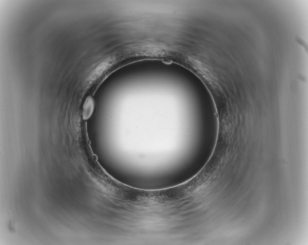 X0000099400679200805081535