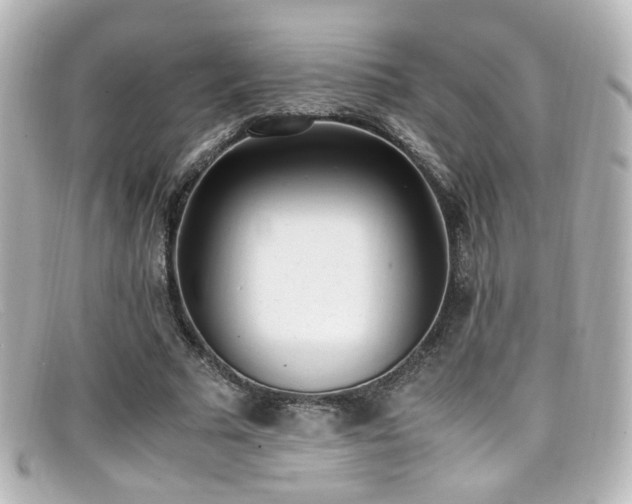 X0000099400681200805081535