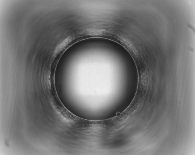 X0000099400682200805081535