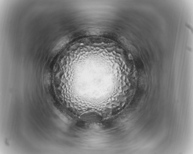 X0000099400683200805081535