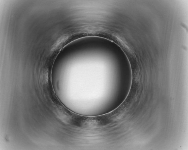 X0000099400685200805081535