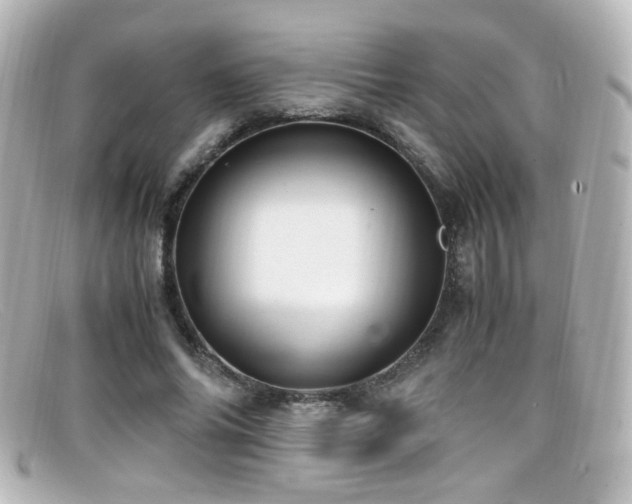 X0000099400686200805081535