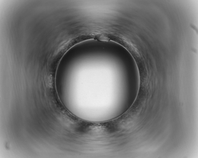 X0000099400689200805081535