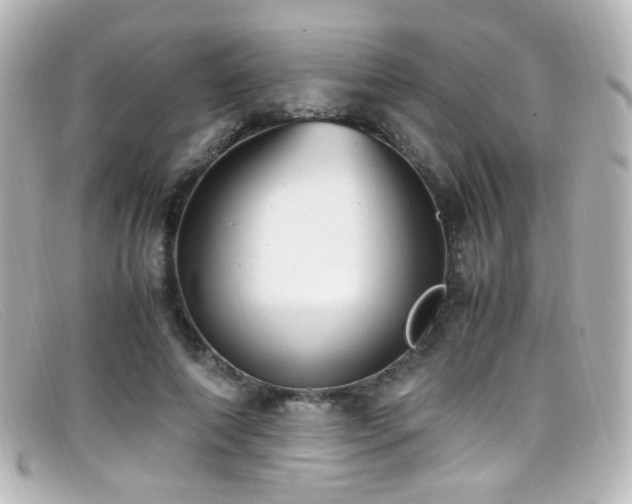 X0000099400690200805081535