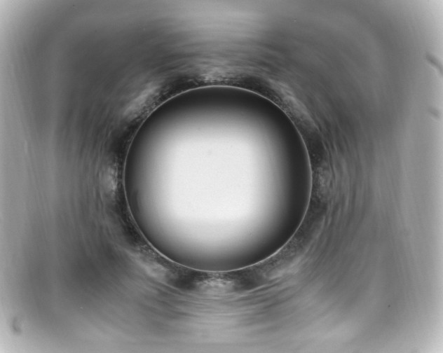 X0000099400691200805081535