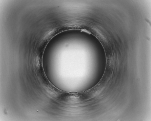 X0000099400692200805081535