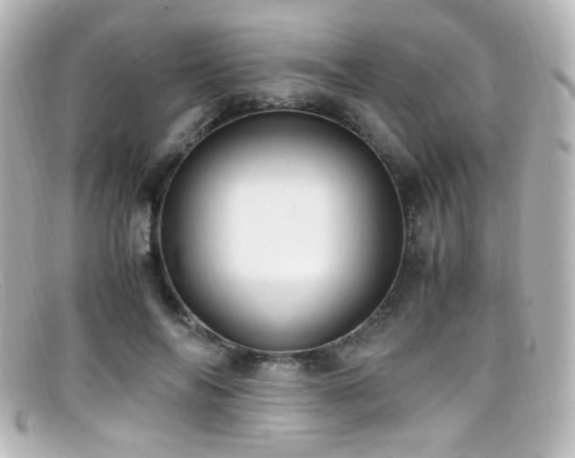 X0000099400694200805081535