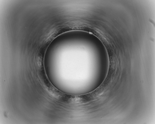 X0000099400695200805081535