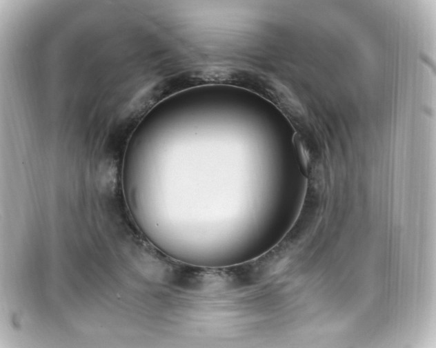 X0000099400697200805081535