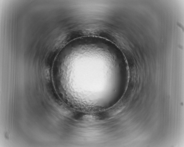 X0000099400699200805081535