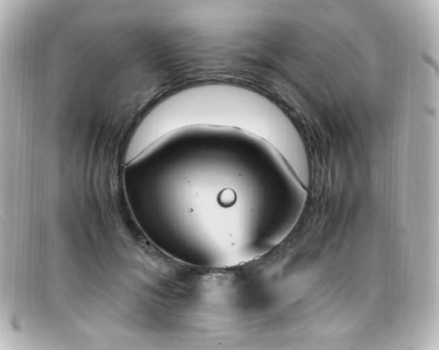 X0000099400700200805081535