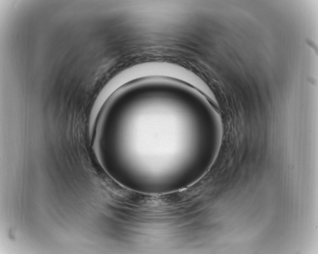 X0000099400702200805081535