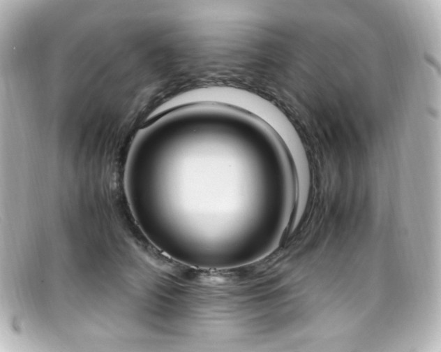 X0000099400706200805081534