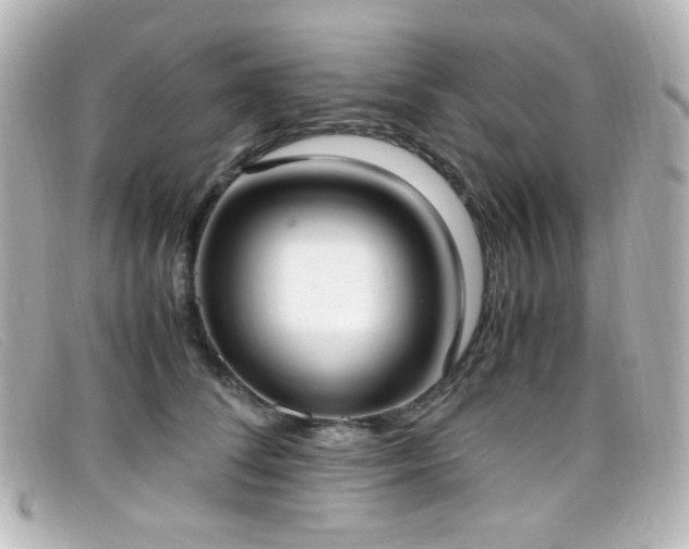 X0000099400708200805081534