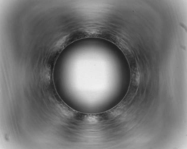 X0000099400710200805081534
