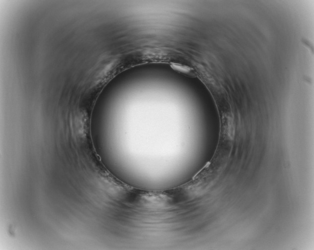 X0000099400712200805081534