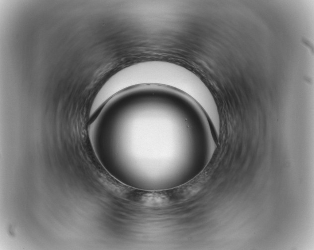 X0000099400714200805081534