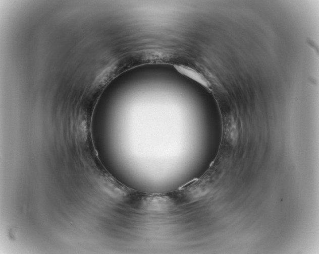 X0000099400716200805081534