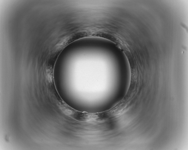 X0000099400719200805081534