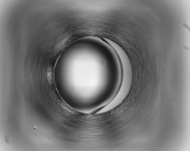 X0000099400720200805081534
