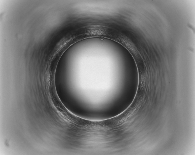 X0000099400722200805081534