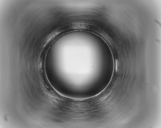 X0000099400723200805081534