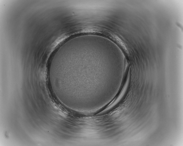 X0000099400724200805081534