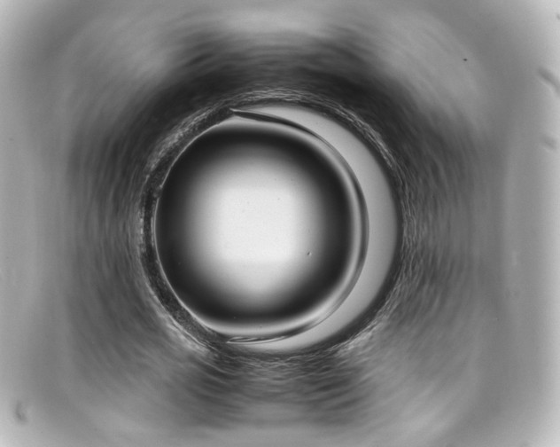 X0000099400725200805081534