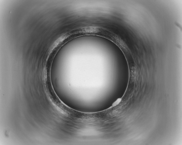 X0000099400726200805081534