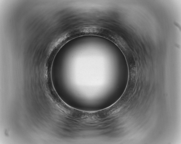 X0000099400727200805081534