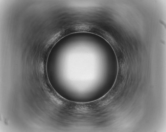 X0000099400729200805081534