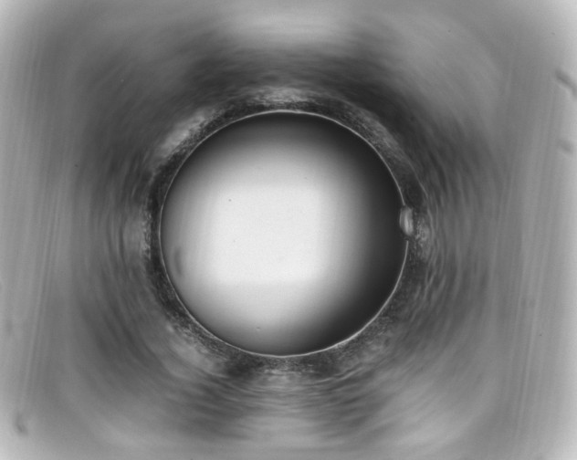 X0000099400732200805081534