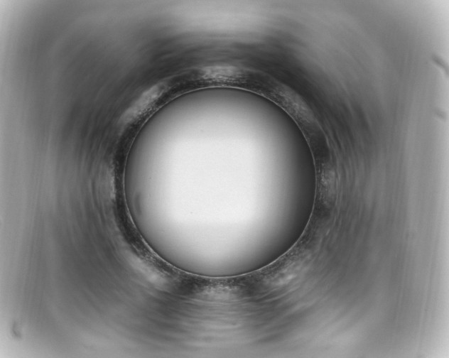 X0000099400734200805081534