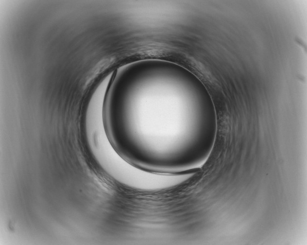 X0000099400738200805081534