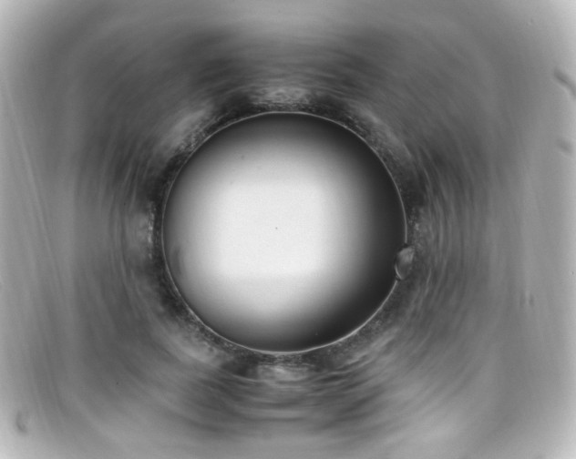 X0000099400739200805081534