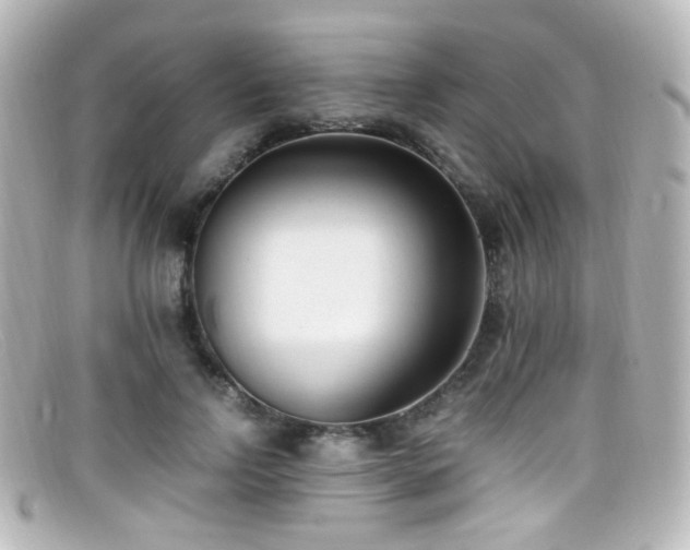 X0000099400742200805081534