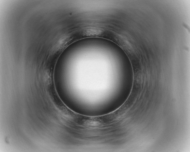 X0000099400743200805081534